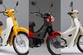 Bộ 3 xe máy “huyền thoại” Honda Super Cub sắp ra mắt